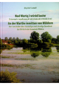 Nad watrą i wśród lasów