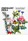 Zbieramy zioła
