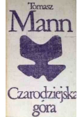 Czarodziejska góra Tom 1
