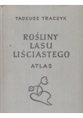 Rośliny lasu liściastego Atlas