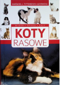 Koty Rasowe