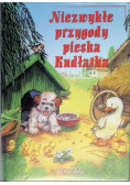Niezwykłe przygody pieska Kudłatka