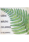 Leśne rośliny zielarskie