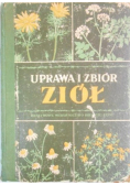 Uprawa i zbiór ziół