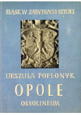 Śląsk w zabytkach sztuki Opole