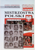 Mistrzostwa polski stulecie