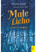 Małe Licho i anioł z kamienia