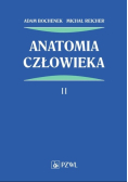 Anatomia człowieka Tom 2
