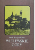 Wielewskie Góry