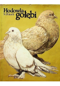 Hodowla gołębi