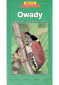 Owady rozpoznać podziwiać chronić
