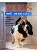 Pies mój przyjaciel