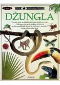 Dżungla