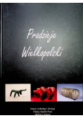 Pradzieje Wielkopolski Od epoki kamienia do średniowiecza