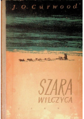 Szara wilczyca