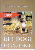 Buldogi francuskie Hobby