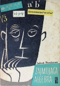 Zajmująca algebra