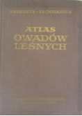 Atlas owadów leśnych