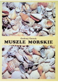 Muszle morskie