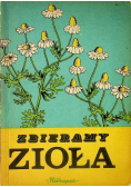 Zbieramy zioła