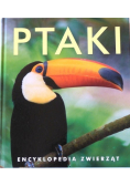 Ptaki Encyklopedia zwierząt