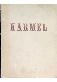 Karmelitanki Poznańskie, 1931 r.