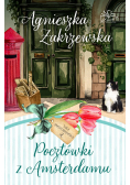 Pocztówki z Amsterdamu. Saga amsterdamska. Tom 2