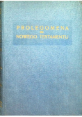 Prolegomena do Nowego Testamentu