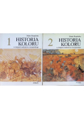Historia koloru w dziejach malarstwa europejskiego