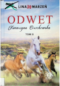 Dolina marzeń Tom 2 Odwet
