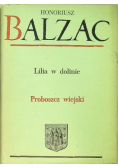 Lilia w dolinie Proboszcz wiejski