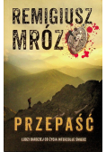 Przepaść