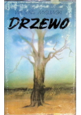 Drzewo