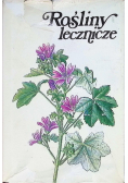 Rośliny Lecznicze