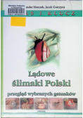 Lądowe ślimaki Polski. Przegląd wybranych gatunków