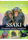Wielka encyklopedia Królestwo zwierząt Tom 16 Ssaki szympansy, goryle i orangutany