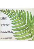 Leśne rośliny zielarskie