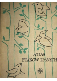 Atlas ptaków leśnych