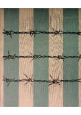Oświęcim Brzezinka Auschwitz Birkenau