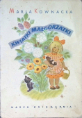 Kwiatki Małgorzatki