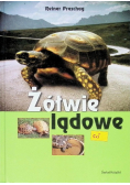 Żółwie lądowe