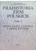 Prahistoria ziem polskich Tom V