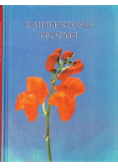 Najpiękniejsze erotyki