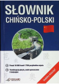 Słownik chińsko polski
