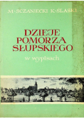 Dzieje pomorza słupskiego w wypisach