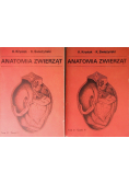 Anatomia zwierząt Tom II Część I i II