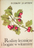 Rośliny lecznicze i bogate w witaminy