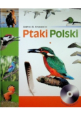 Ptaki Polski
