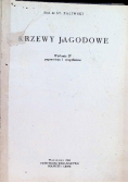 Krzewy jagodowe