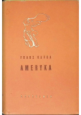 Ameryka